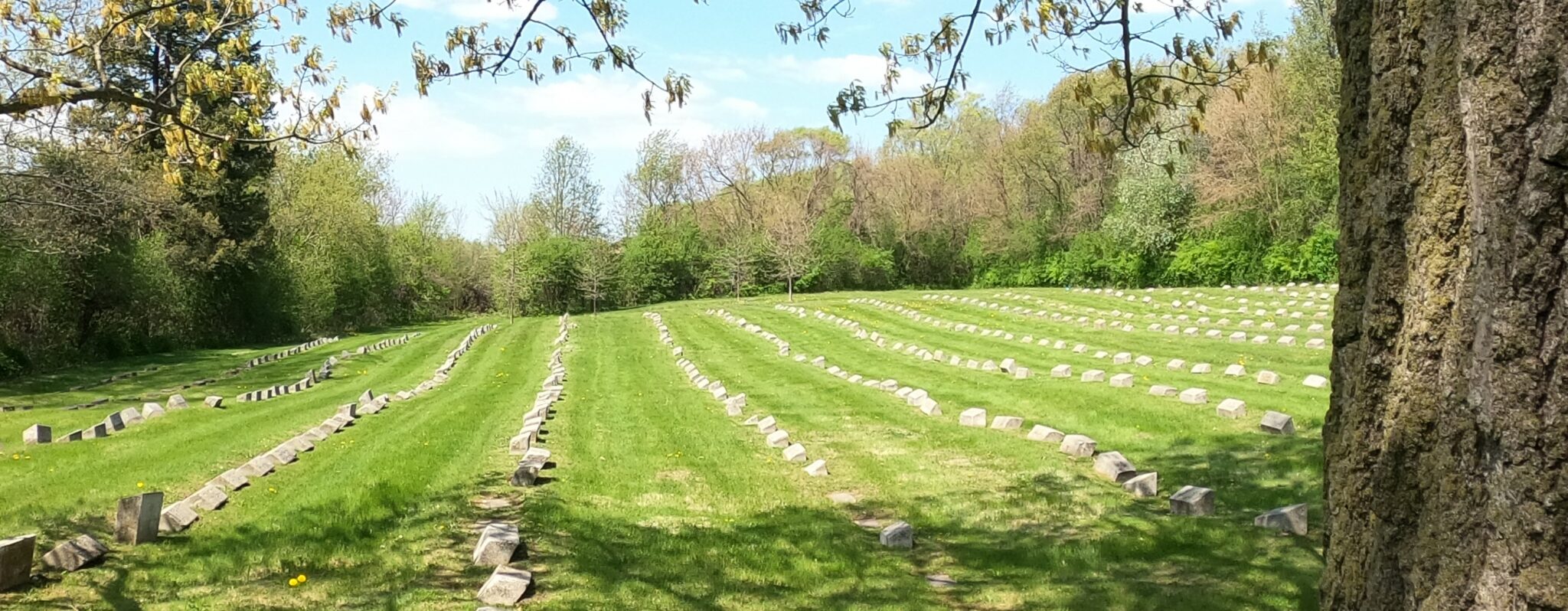 Hilltop Cemetery Elgin History Museum